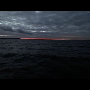 Meet your Posher, Nicholas